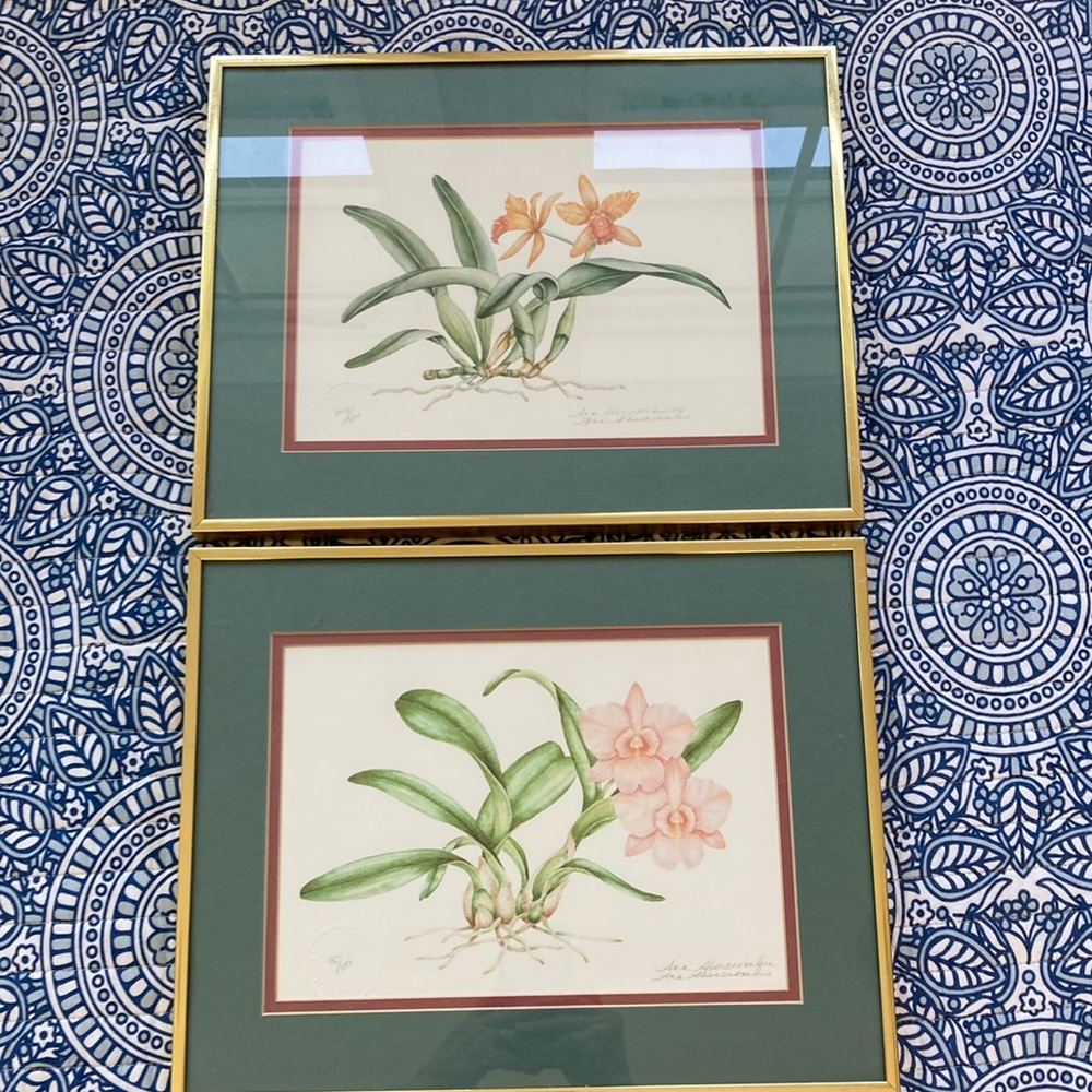Ava Abercrombie PAIR of signed print floral pictures